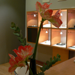 Tischdekoration auf unserem Beratungstisch